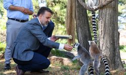 Başkan Vekili Biba’dan Hayvanat Bahçesi’ne ziyaret