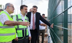 Büyükşehir'den sokak hayvanlarına yeni yuva