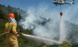Bursa Orman Bölge'den yangın uyarısı... Rüzgar riski artırıyor!