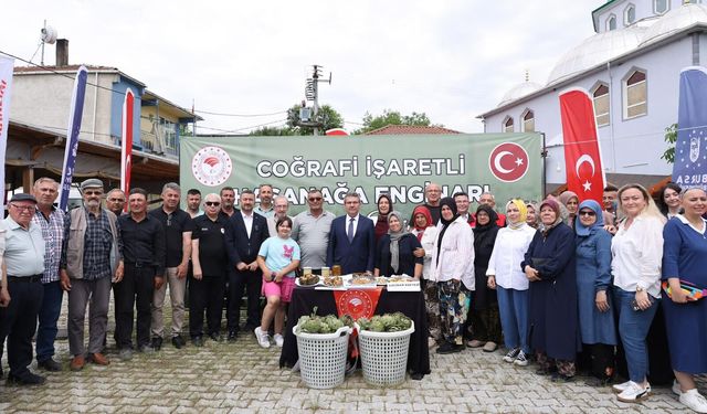 Bursa'nın tescilli lezzetinde hasat zamanı