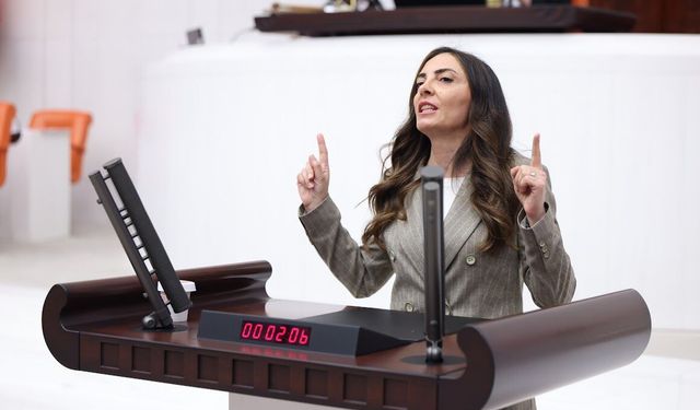 CHP'li ALTACA KAYIŞOĞLU; MONARŞİYE GEÇİT YOK:“EGEMENLİK KAYITSIZ ŞARTSIZ MİLLETİNDİR”