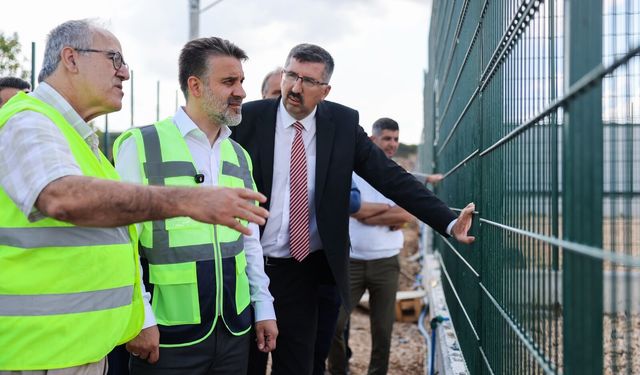 Büyükşehir'den sokak hayvanlarına yeni yuva
