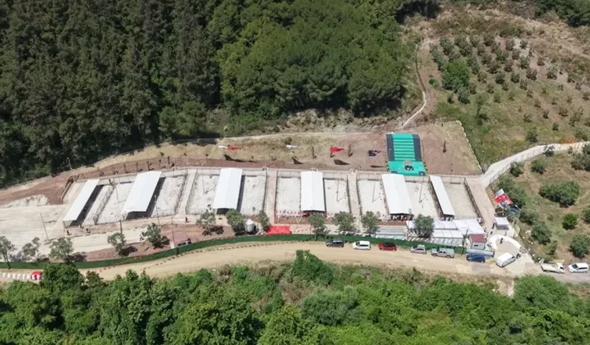 Bursa Gemlik’te sahipsiz hayvanlara modern yaşam alanı