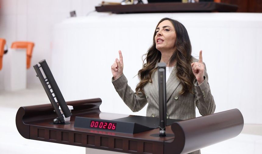 CHP'li ALTACA KAYIŞOĞLU; MONARŞİYE GEÇİT YOK:“EGEMENLİK KAYITSIZ ŞARTSIZ MİLLETİNDİR”