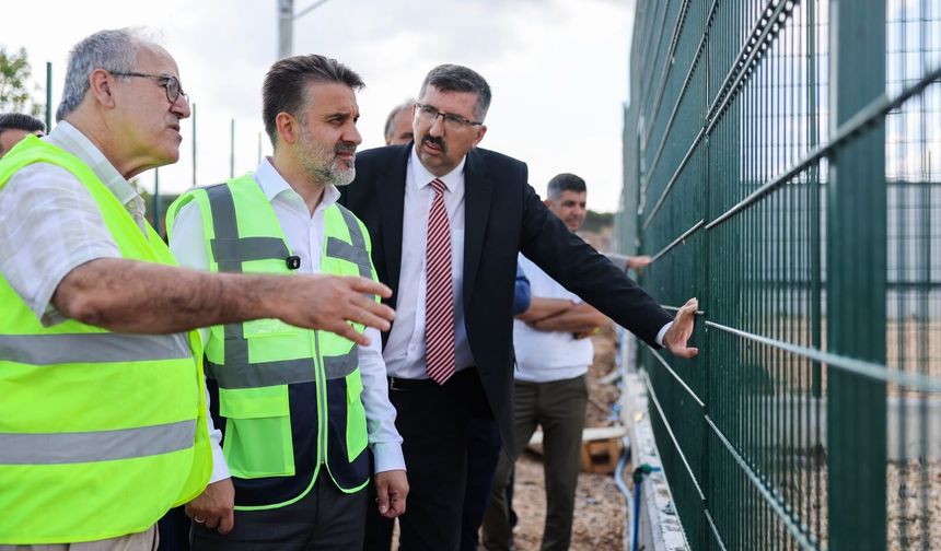 Büyükşehir'den sokak hayvanlarına yeni yuva