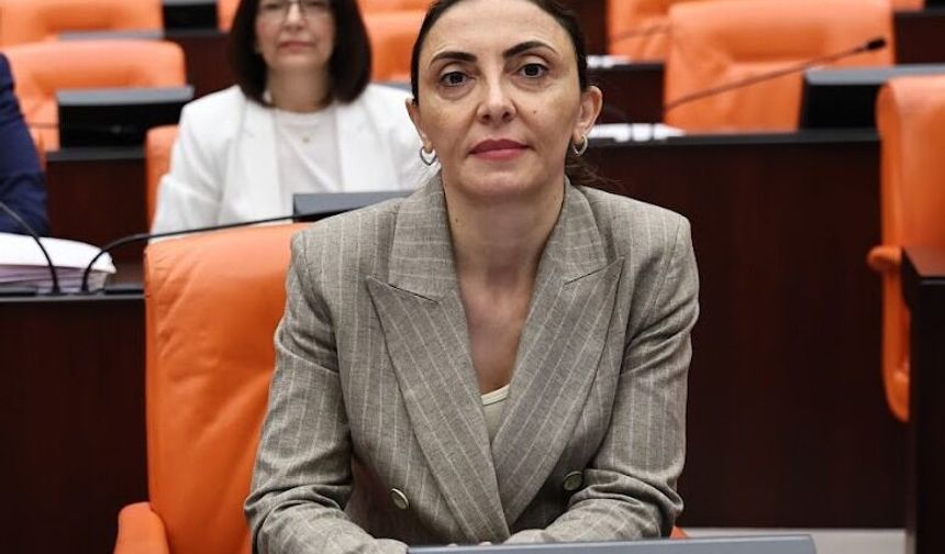 CHP'li Altaca Kayışoğlu “Yurt dışındaki vatandaşlar ehliyet mağduriyeti yaşıyor"